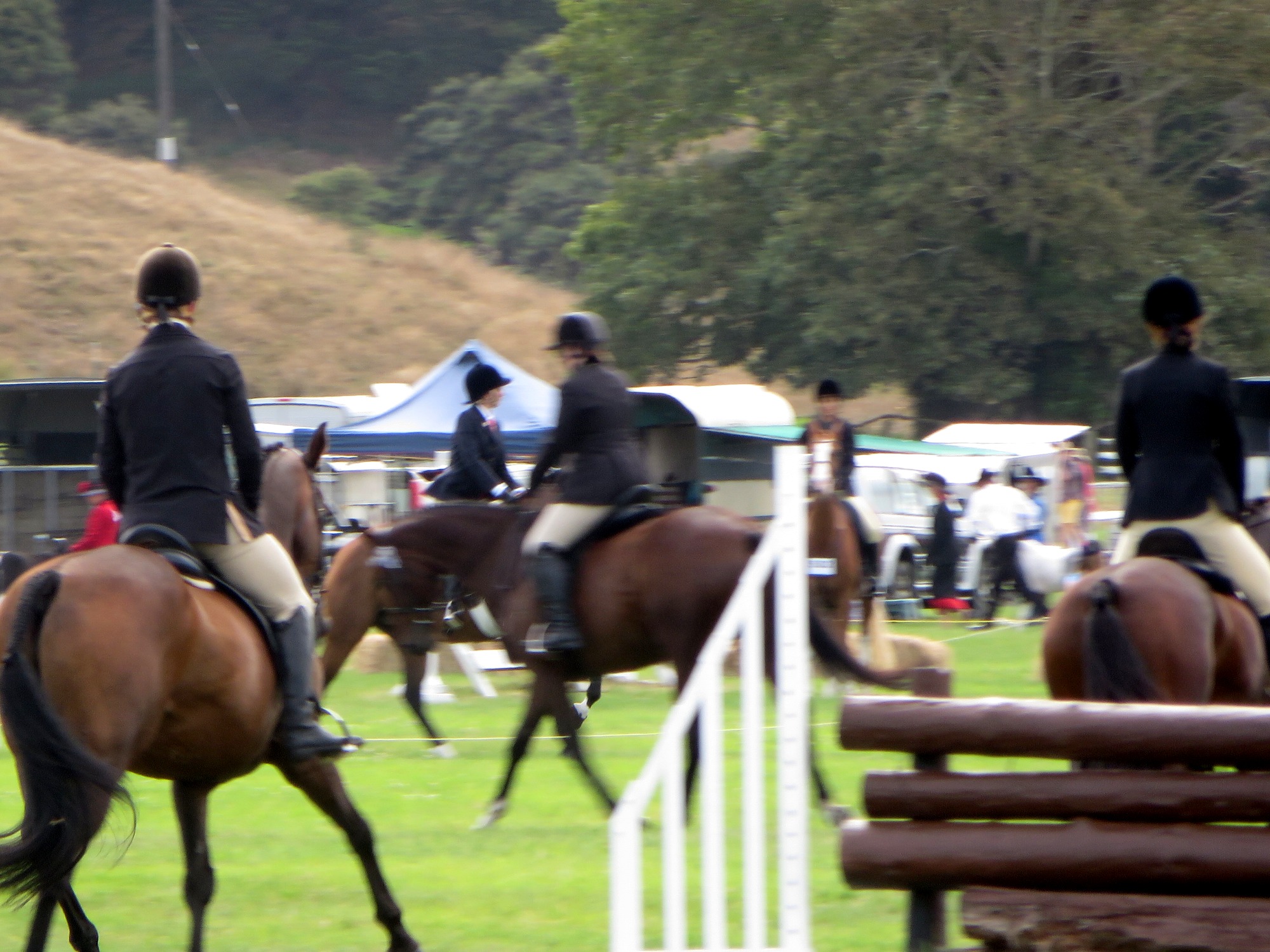 Helensville A&P Show a big success