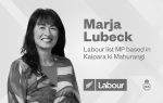 Labour list MP based in Kaipara ki Mahurangi